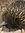 Renee Murden | 5 comments