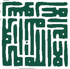 Shami Cassam-Chenaï