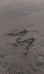 ميرزا مجتبى