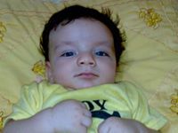 Gamal Marzouk
