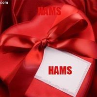 Hams Hatap
