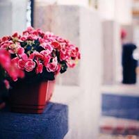 عصومي علوان