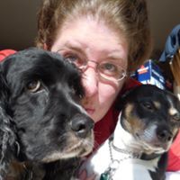 Sandra Kerchner Solbrig