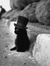 BlackKat