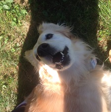 Molly