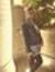 Reem Orz