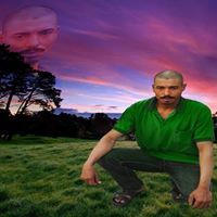 محمود القاضي