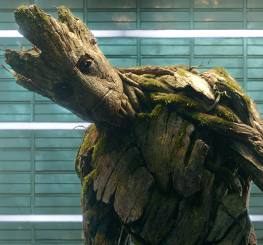 Goodreads profile picture for @groot
