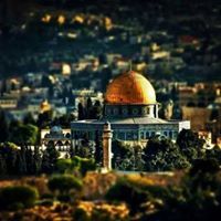 بيارق العلم