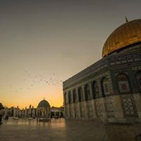 ندى الأيام