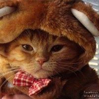 Антоанета Георгиева