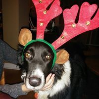 Francine Bertrand-Withnall