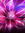 Maryanne Lewis | 12 comments