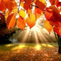 Севда Желязкова