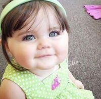 زهرة البنفسج