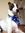 Cat R Ees