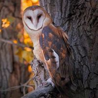 Наталия Начева