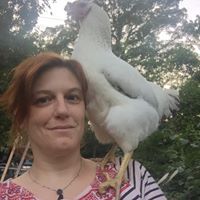 Andrea S.F. Seabrook