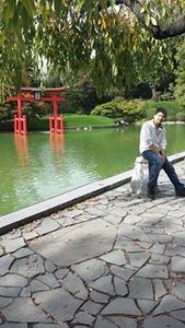 David Zheng