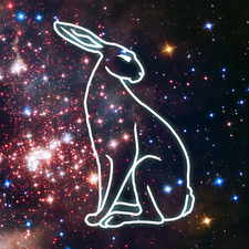 Electric Hare