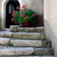 المترجمة ياسمين عتمان