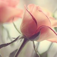 Eng-Awniya Abu-Quthelah