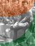 Kishore...