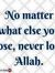 Farheen...