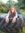 Lucy Ellis