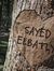 Sayed E...