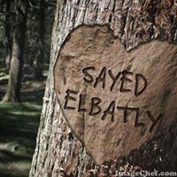 Sayed Elbatly