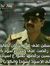 محمد عارف