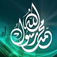 Howida Ezzelarab