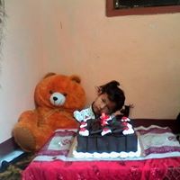 Shesti Elsya