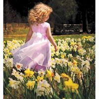 المسك الفواح