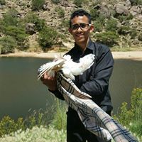 عبدالحميد الروافي