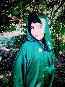 Николай Ляпаненко