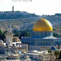 نضال ابو زر