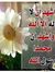 الصقر ا...