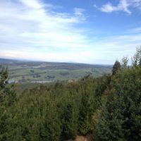 Constanza Ulloa Bittar