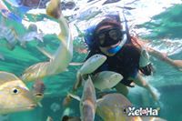 Carolina Oconitrillo