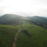 Chingwan Lin