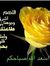 Mohamed...