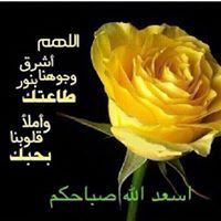 Mohamed Awad