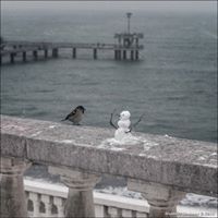 Ирис Аргххх