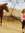 Alysia