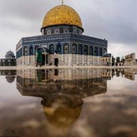 دينا البدري