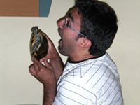 Rui Alexandre