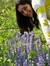 Chaitali