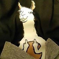 Kawaii Llama